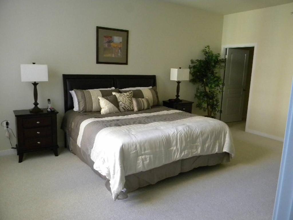 Madison Hospitality At 1401 Joyce Street Arlington Room photo